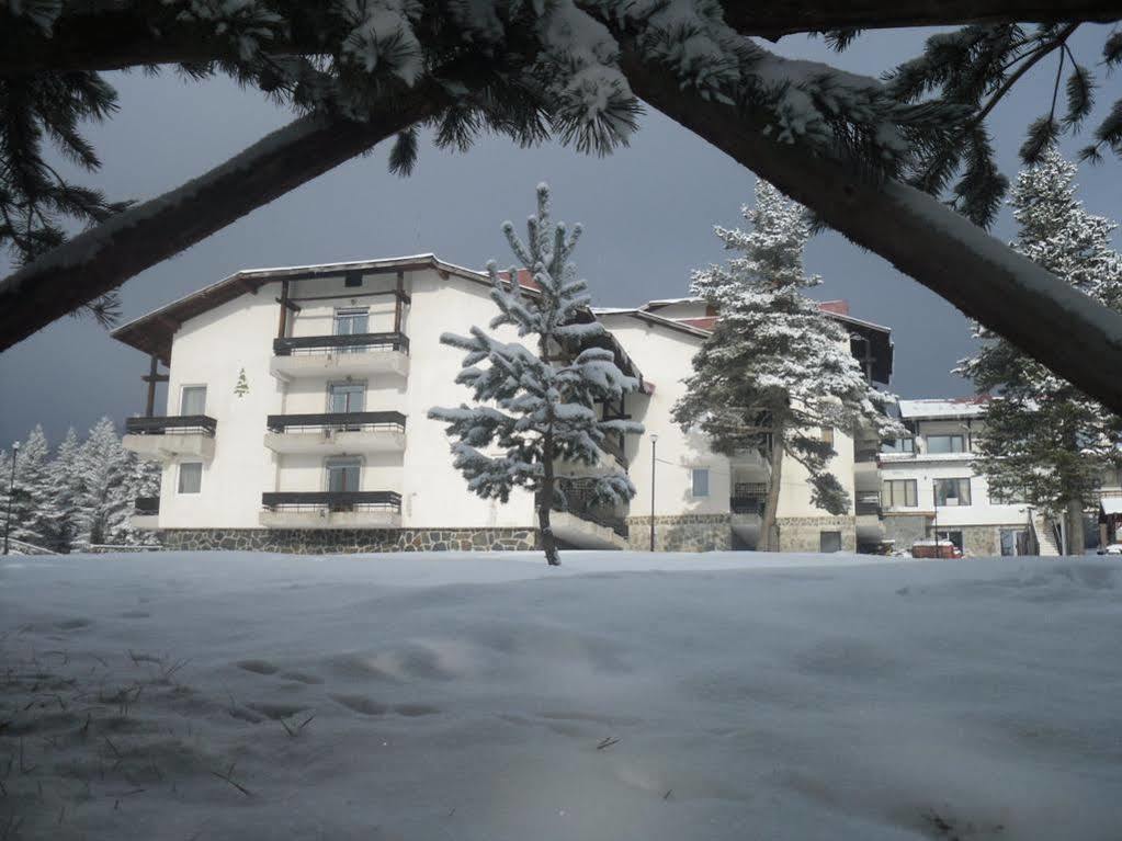Bor Hotel Belitsa (Blagoevgrad) Exterior foto