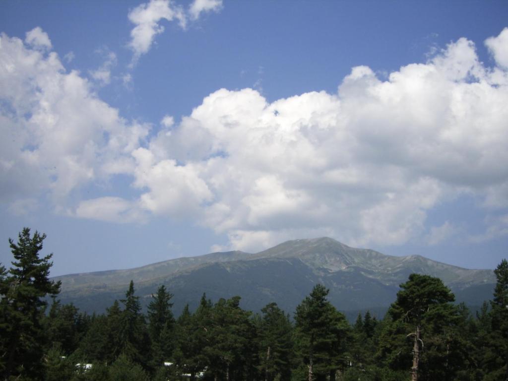 Bor Hotel Belitsa (Blagoevgrad) Quarto foto