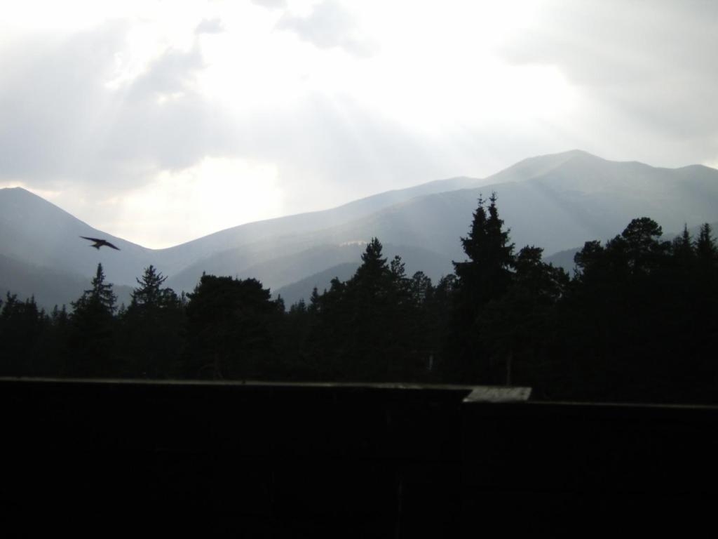 Bor Hotel Belitsa (Blagoevgrad) Quarto foto